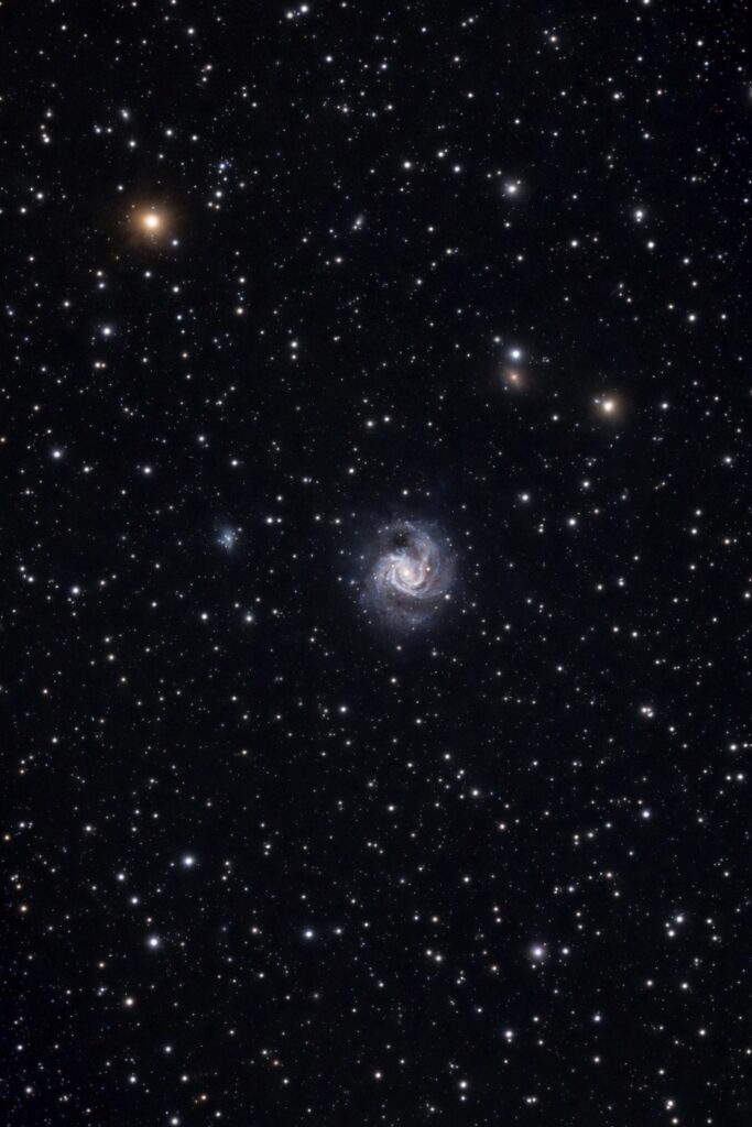 M 61